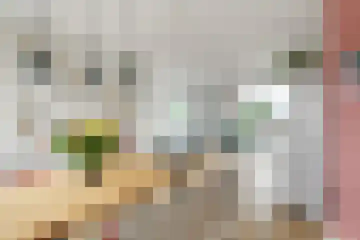 Zuiderspoorstraat 75 Enschede thumbnail 15
