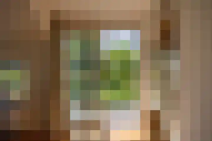 Zuiderspruit 2 Nes thumbnail 13