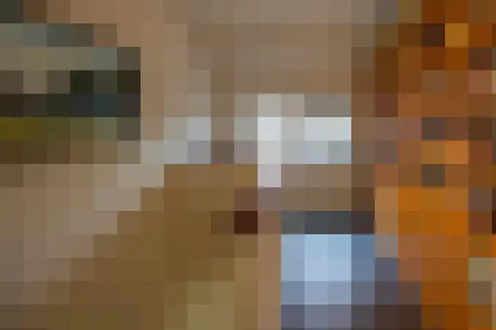 Zuiderspruit 2 Nes thumbnail 21