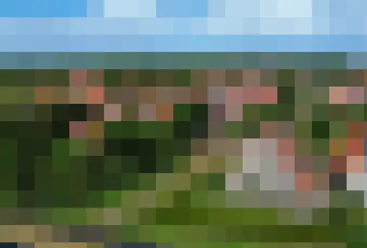 Zuiderspruit 2 Nes thumbnail 43
