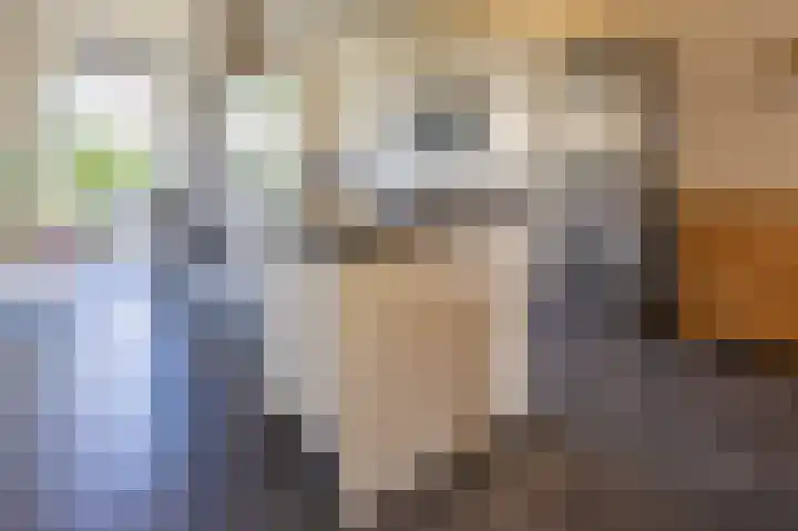 Zuiderspruit 2 Nes thumbnail 7