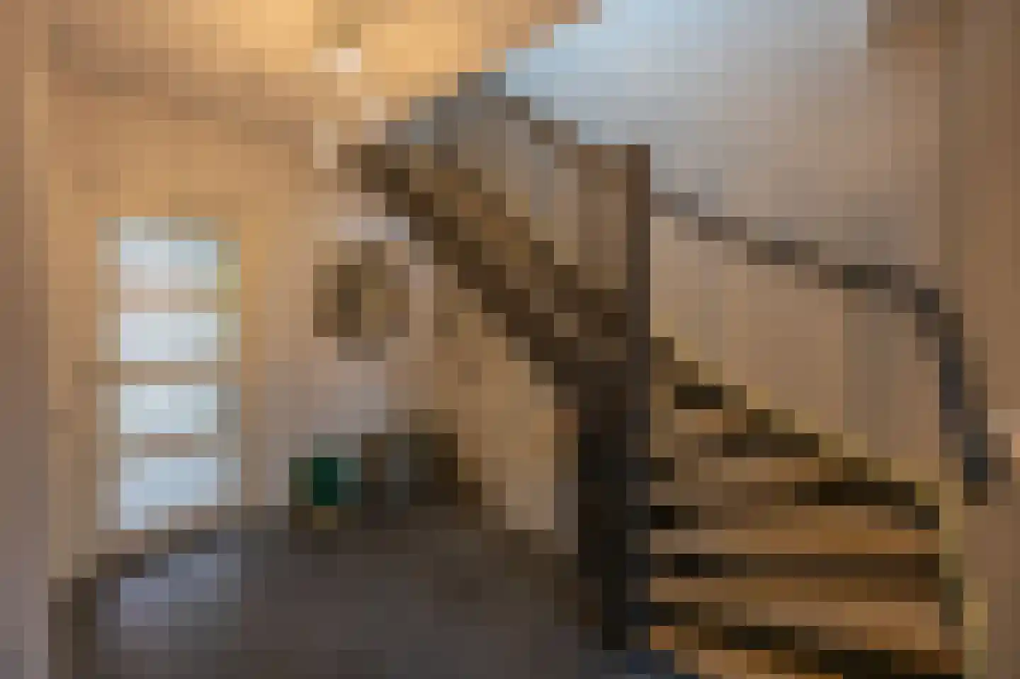 Zuiderspruit 8 Nes thumbnail 14