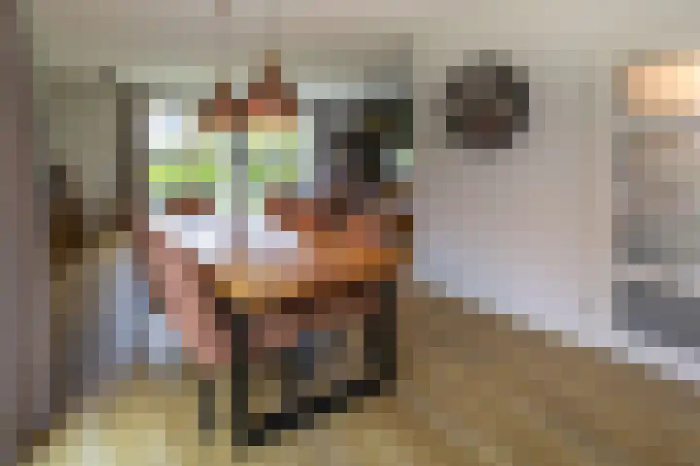 Zuiderspruit 8 Nes thumbnail 8