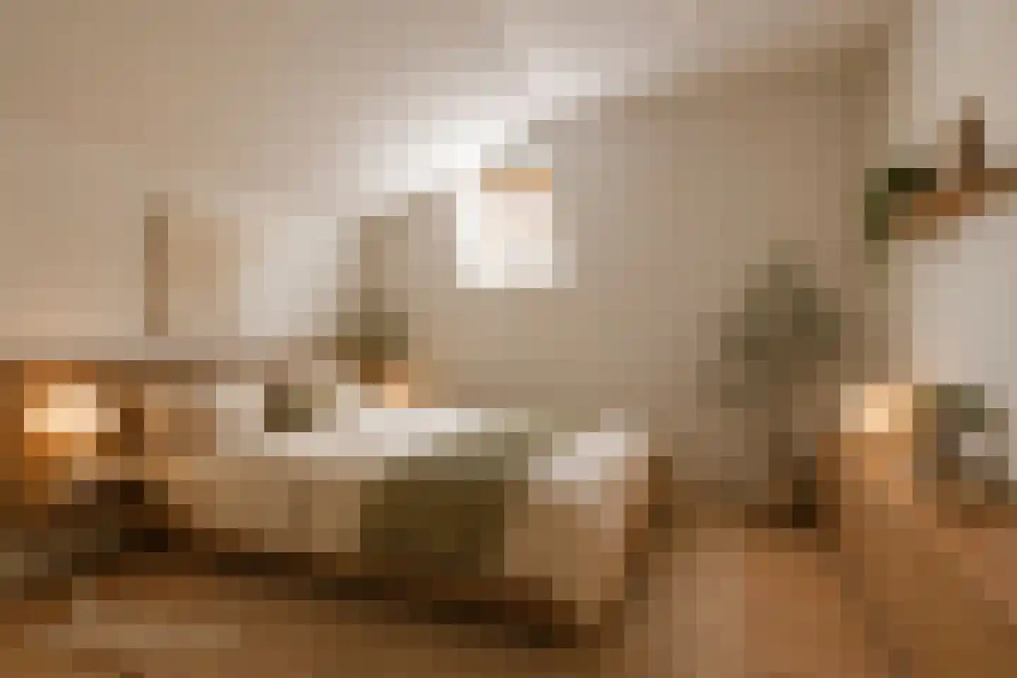 Zuidersteeg 12 C Purmerend thumbnail 15