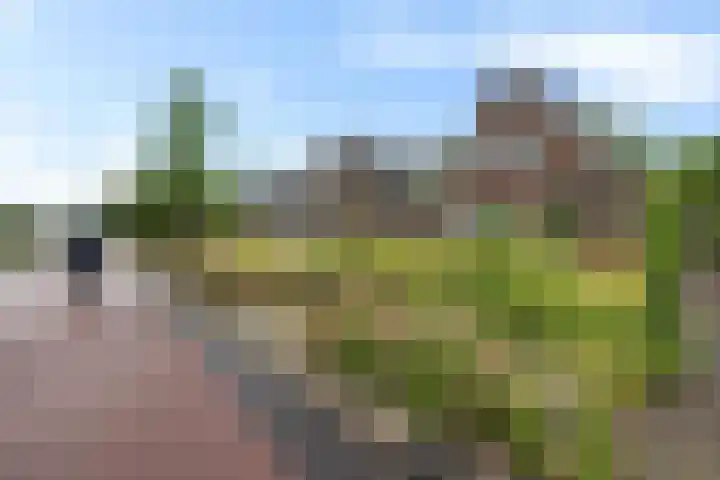 Zuiderstraat 1 Emmen thumbnail 4