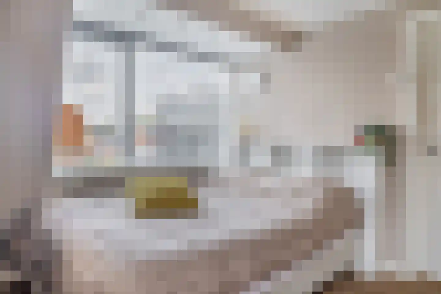 Zuiderstraat 1 Krimpen aan den IJssel thumbnail 24