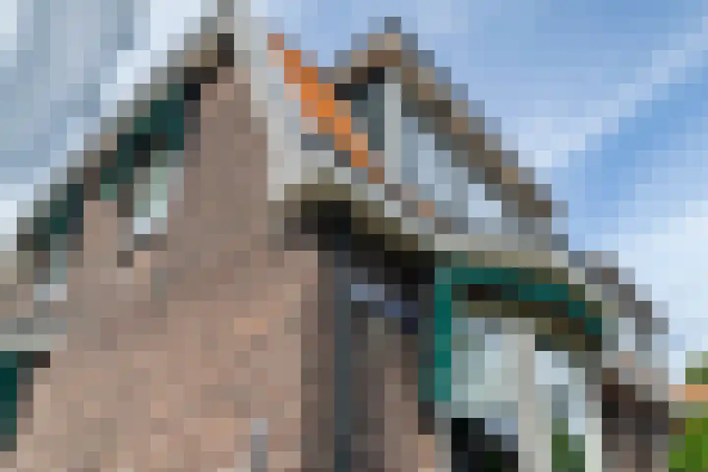 Zuiderstraat 1 Krimpen aan den IJssel thumbnail 38