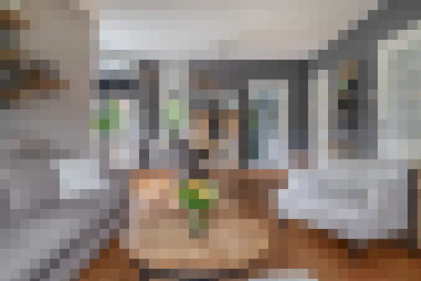 Zuiderstraat 1 Krimpen aan den IJssel thumbnail 8