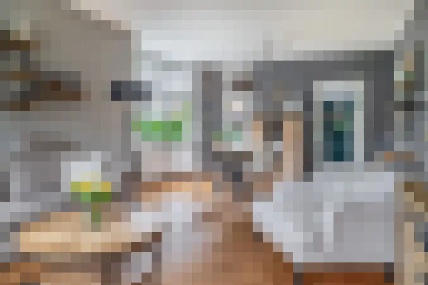 Zuiderstraat 1 Krimpen aan den IJssel thumbnail 9