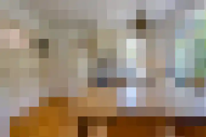 Zuiderstraat 10 Buinerveen thumbnail 17