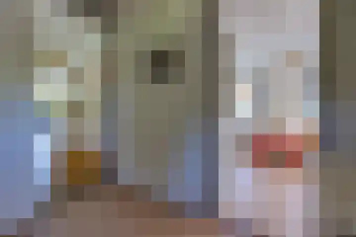 Zuiderstraat 10 Buinerveen thumbnail 19