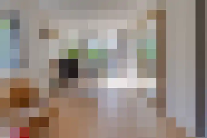 Zuiderstraat 10 Buinerveen thumbnail 20