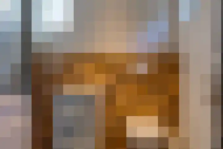 Zuiderstraat 10 Buinerveen thumbnail 26