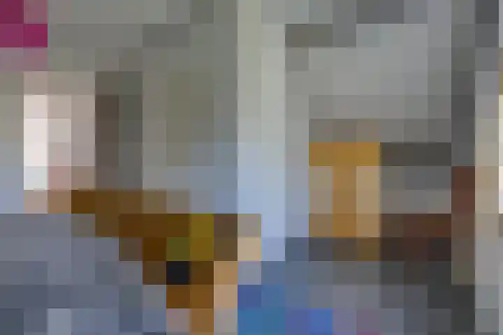 Zuiderstraat 10 Buinerveen thumbnail 31