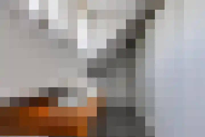 Zuiderstraat 10 Buinerveen thumbnail 34