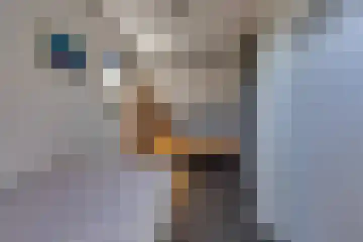 Zuiderstraat 10 Buinerveen thumbnail 35