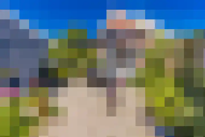 Zuiderstraat 10 Buinerveen thumbnail 38