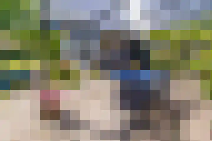 Zuiderstraat 10 Buinerveen thumbnail 39