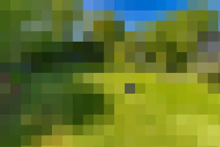 Zuiderstraat 10 Buinerveen thumbnail 4