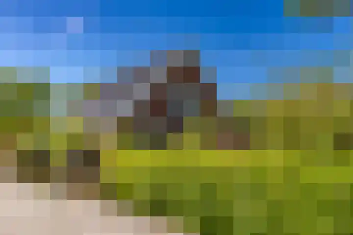 Zuiderstraat 10 Buinerveen thumbnail 6