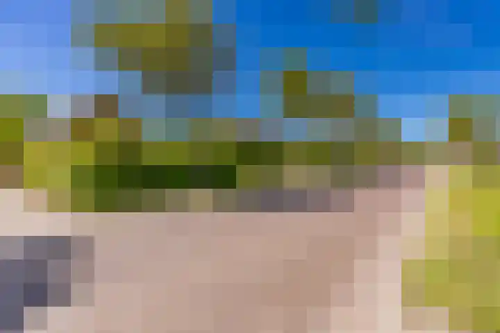 Zuiderstraat 10 Buinerveen thumbnail 8