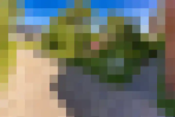 Zuiderstraat 10 Buinerveen thumbnail 9