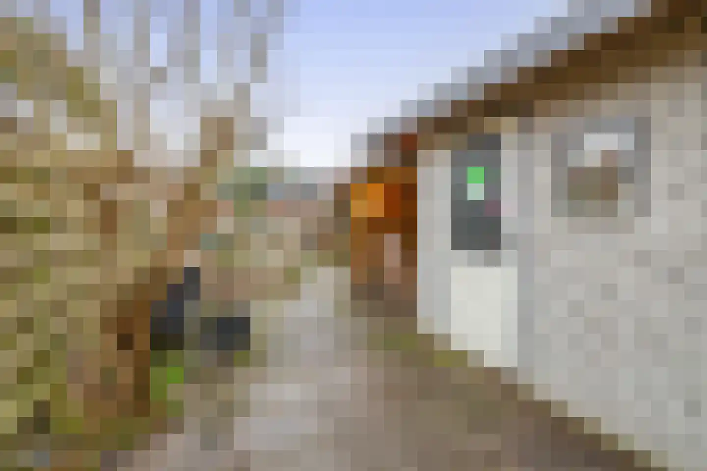 Zuiderstraat 10 Nieuwegein thumbnail 22