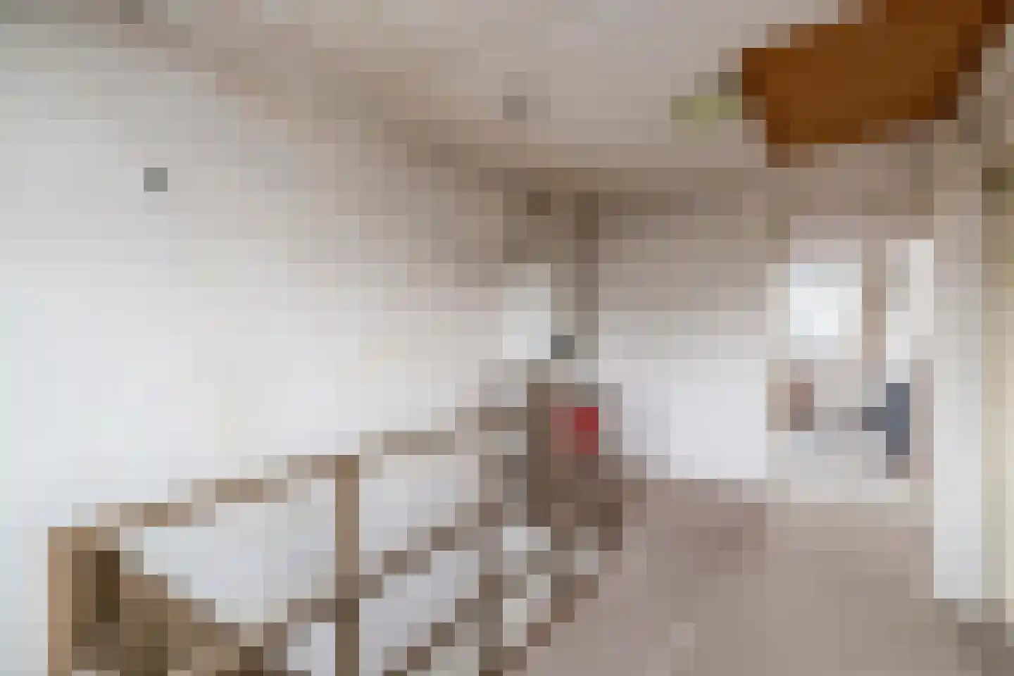 Zuiderstraat 10 Nieuwegein thumbnail 26