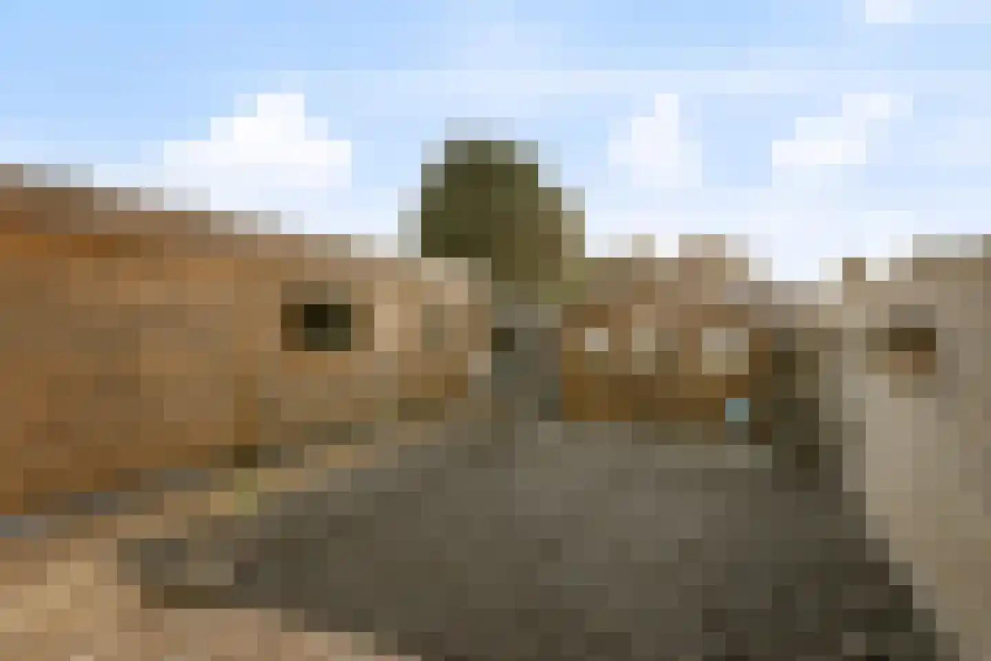 Zuiderstraat 10 Someren thumbnail 21