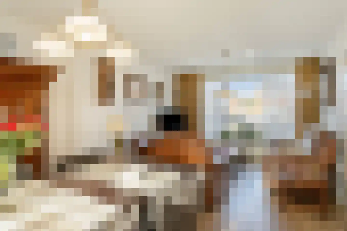 Zuiderstraat 10 Someren thumbnail 6