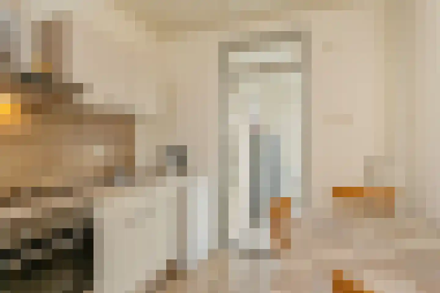 Zuiderstraat 10 Someren thumbnail 8