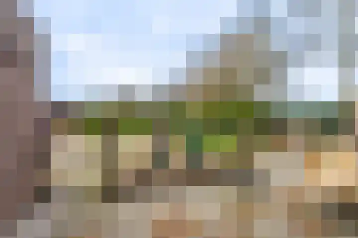 Zuiderstraat 12 Bad Nieuweschans thumbnail 14