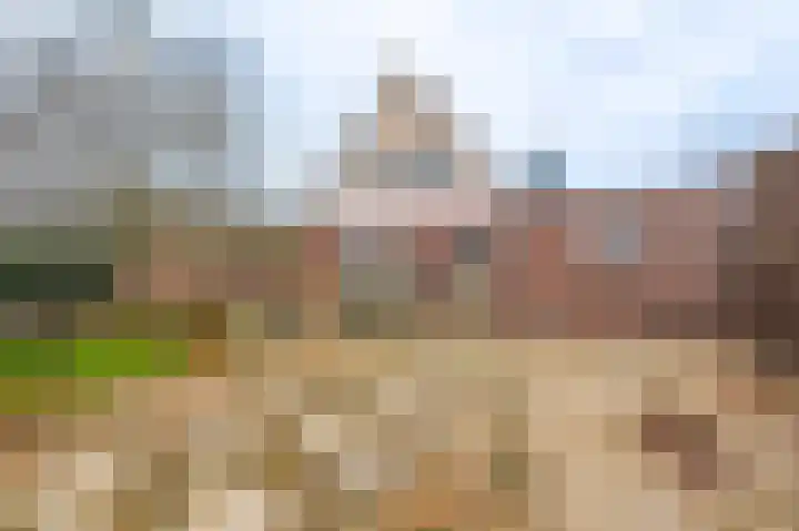 Zuiderstraat 12 Bad Nieuweschans thumbnail 16