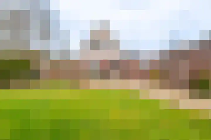 Zuiderstraat 12 Bad Nieuweschans thumbnail 17