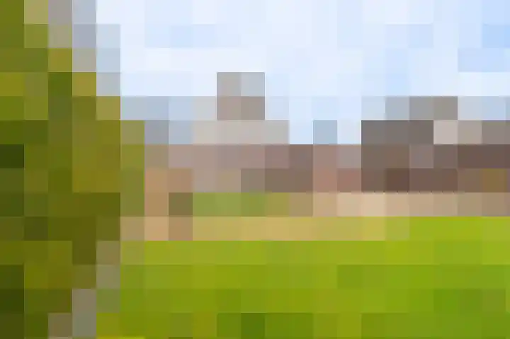 Zuiderstraat 12 Bad Nieuweschans thumbnail 18