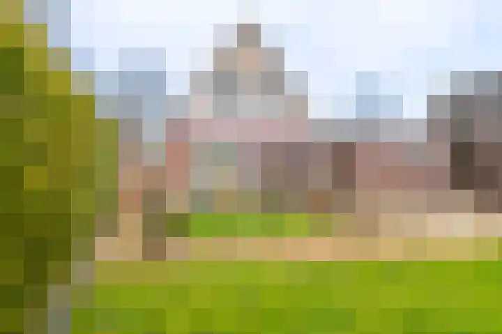 Zuiderstraat 12 Bad Nieuweschans thumbnail 19