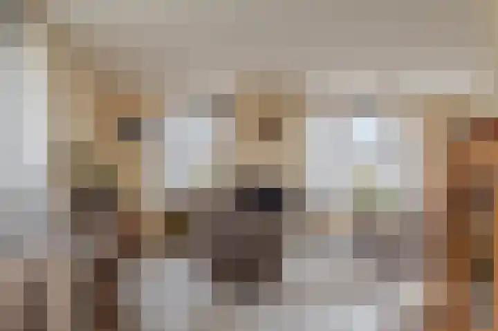 Zuiderstraat 12 Bad Nieuweschans thumbnail 25