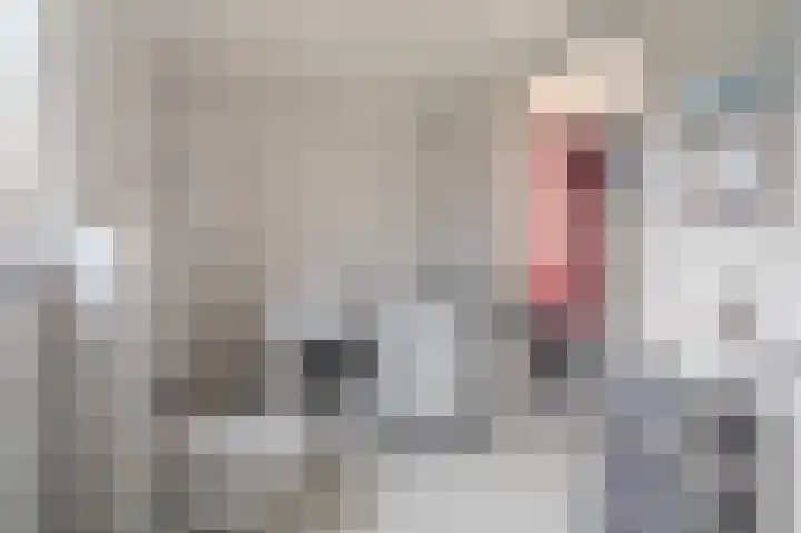 Zuiderstraat 12 Bad Nieuweschans thumbnail 38