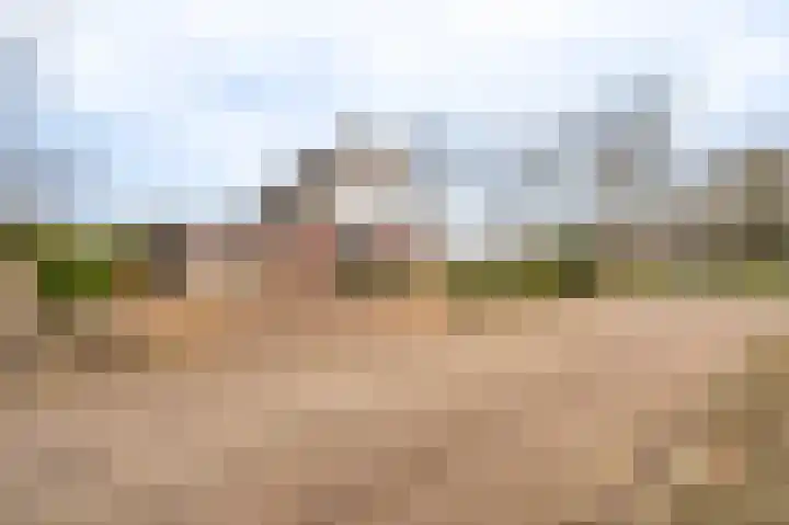 Zuiderstraat 12 Bad Nieuweschans thumbnail 4