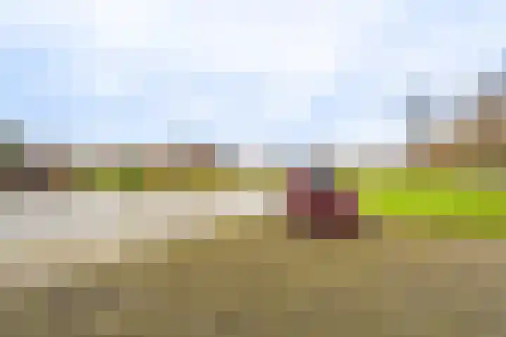 Zuiderstraat 12 Bad Nieuweschans thumbnail 8