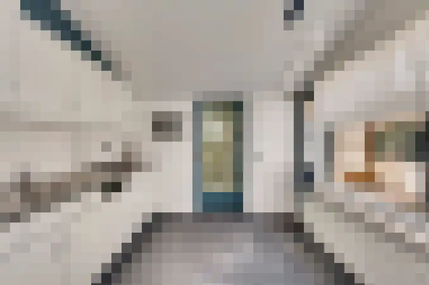 Zuiderstraat 12 Weert thumbnail 7