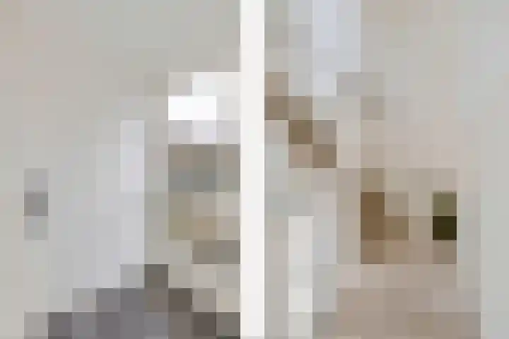 Zuiderstraat 13 Heerenveen thumbnail 6