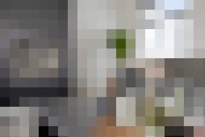 Zuiderstraat 13 Heerenveen thumbnail 9