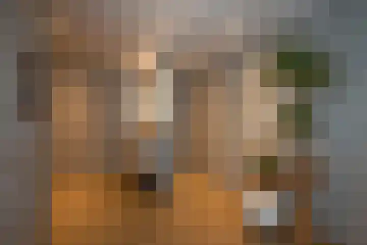 Zuiderstraat 130 Rijssen thumbnail 15