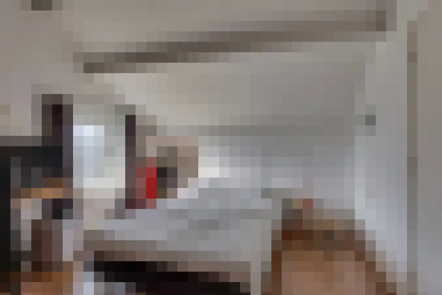 Zuiderstraat 144 Rijssen thumbnail 32