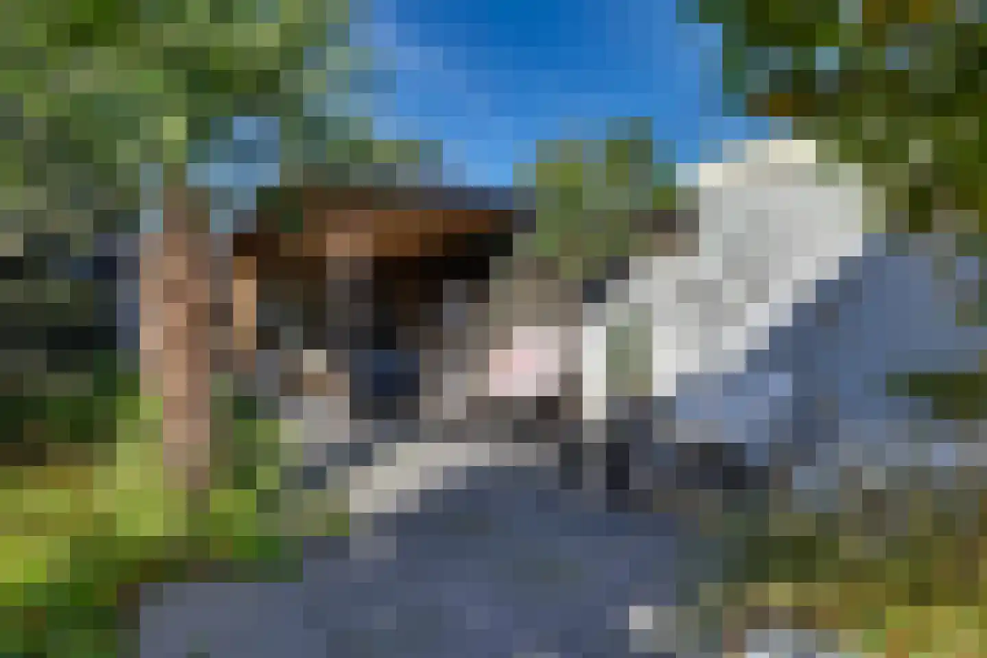 Zuiderstraat 144 Rijssen thumbnail 37