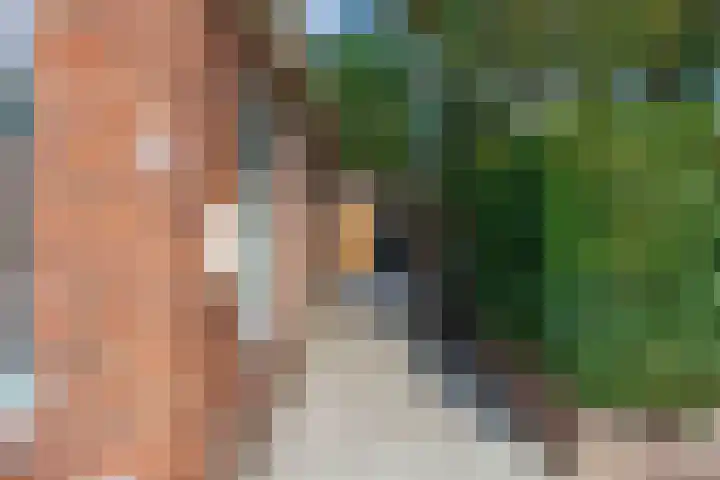 Zuiderstraat 16 Eenrum thumbnail 22