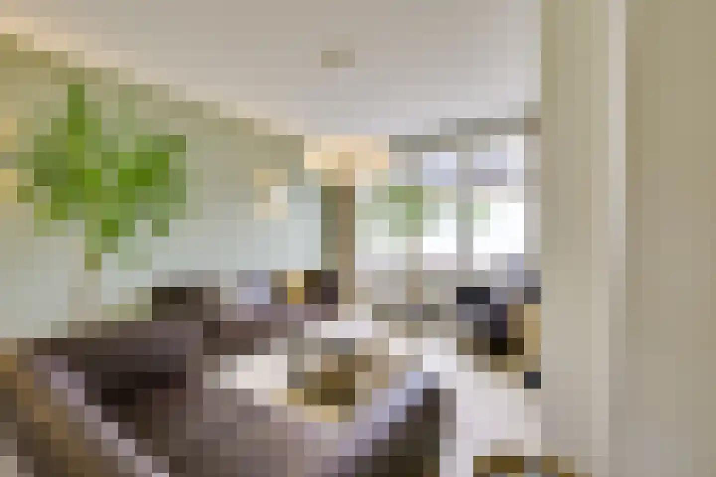 Zuiderstraat 16 Nieuwegein thumbnail 15