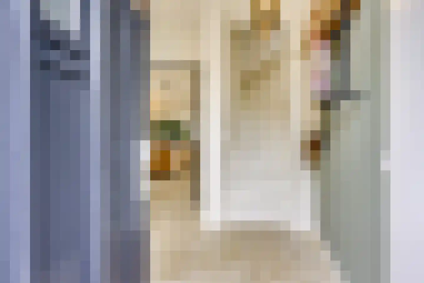 Zuiderstraat 16 Nieuwegein thumbnail 24
