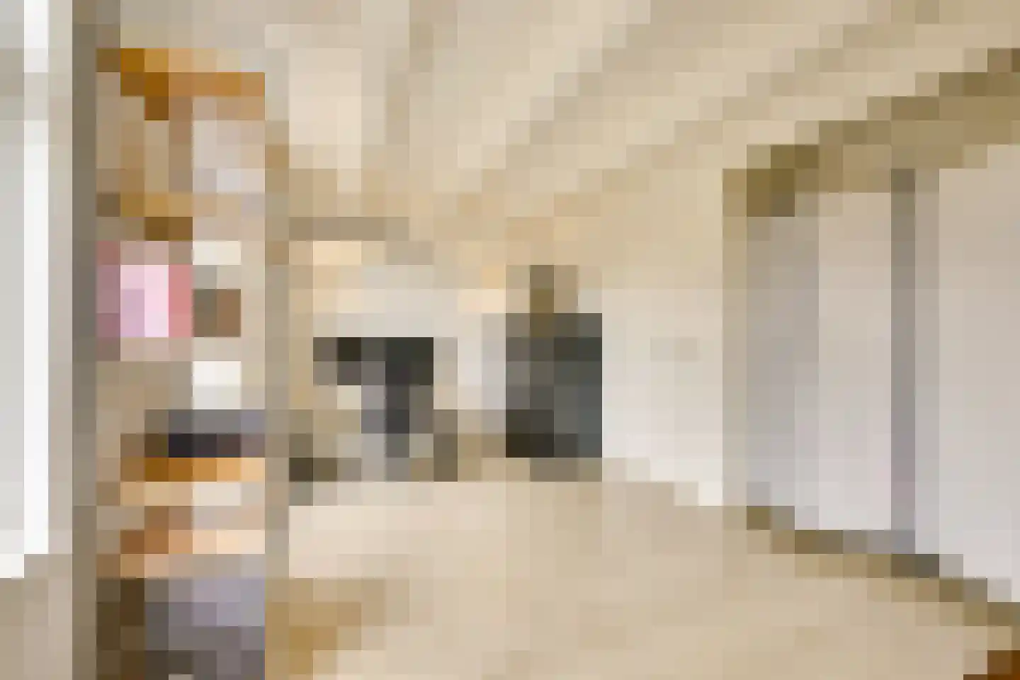 Zuiderstraat 16 Nieuwegein thumbnail 31